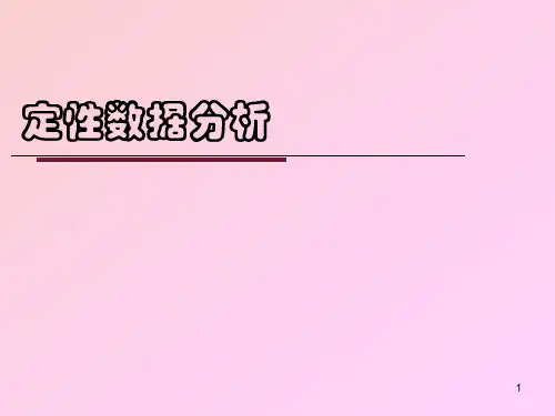 定性数据分析