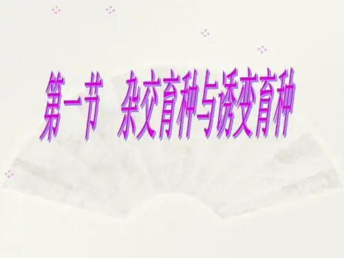 杂交育种与诱变育种 课件(31张)