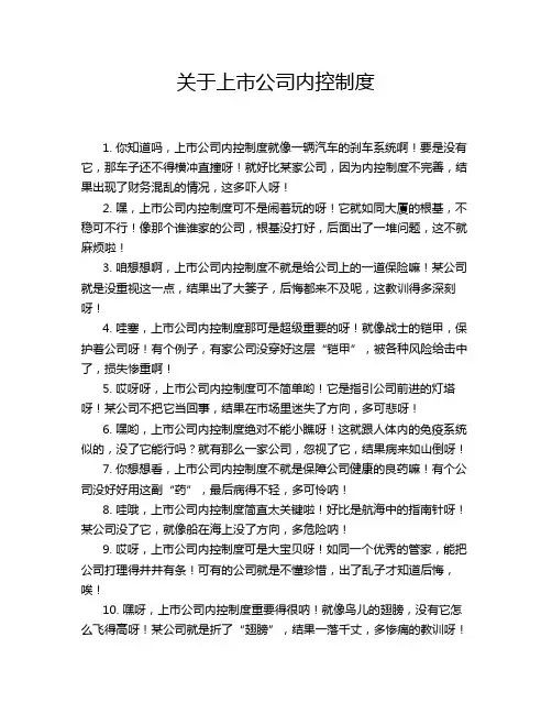 关于上市公司内控制度
