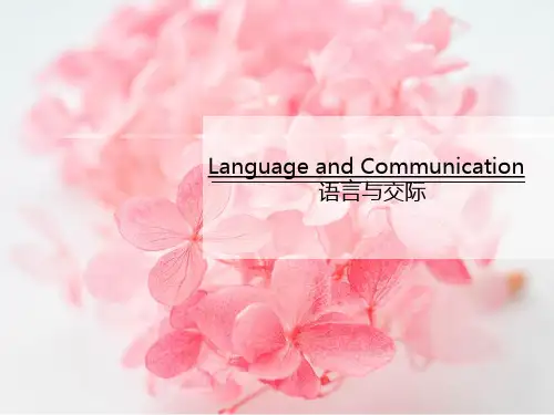 跨文化交际之语言与交际