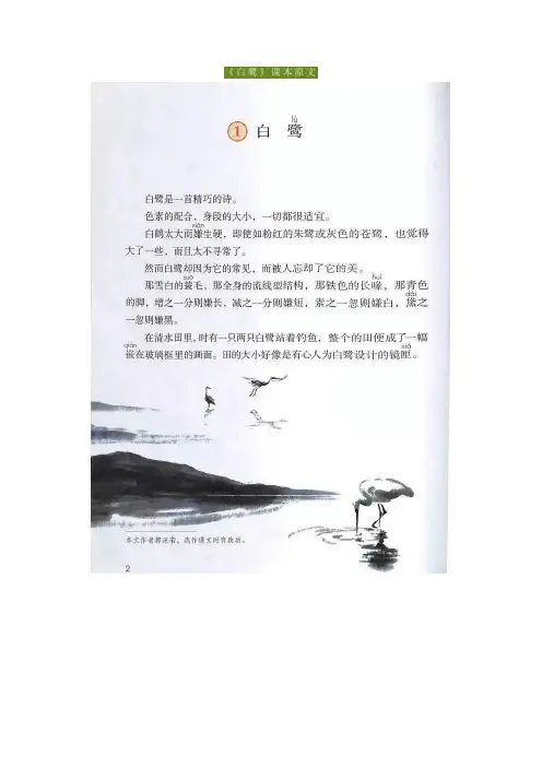 部编版五年级上册语文第一课《白鹭》课文朗读、生字解析、课后练习汇总