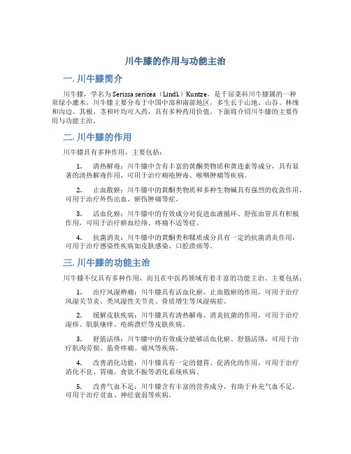 川牛膝的作用与功能主治