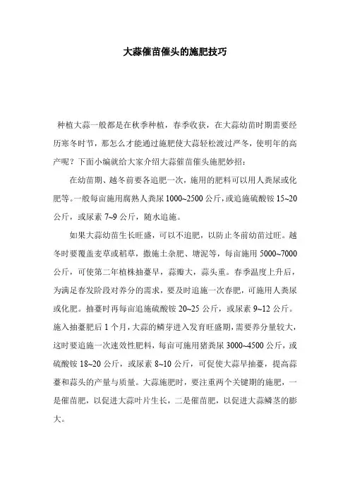 大蒜催苗催头的施肥技巧