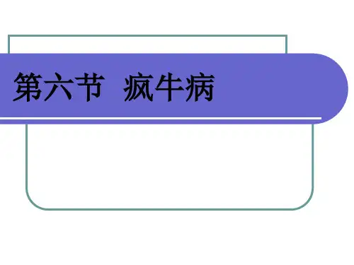 第六节疯牛病案例PPT课件