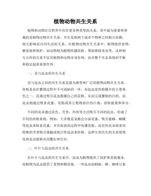 植物动物共生关系