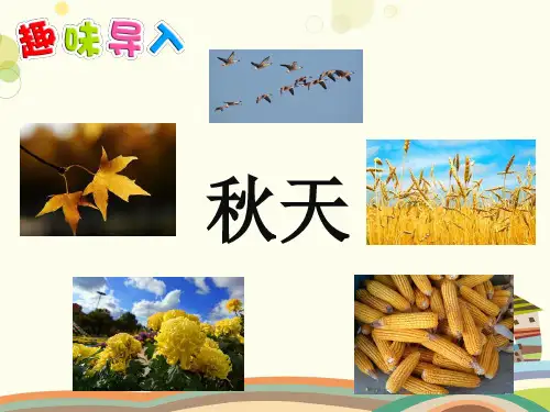 小学语文人教一年级上册课文秋天- 课件