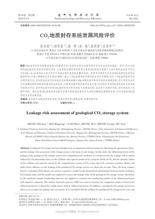 CO2地质封存系统泄漏风险评价
