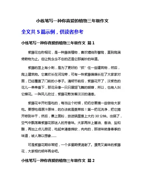 小练笔写一种你喜爱的植物三年级作文