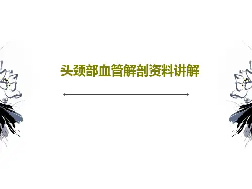 头颈部血管解剖资料讲解共46页