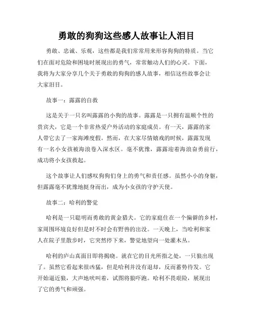 勇敢的狗狗这些感人故事让人泪目