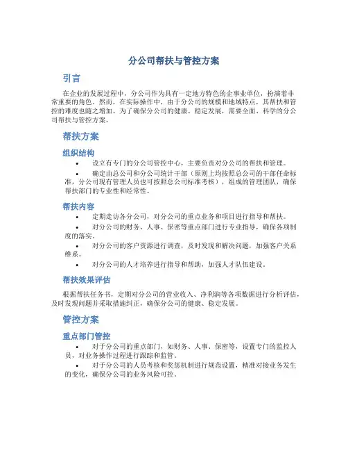 分公司帮扶与管控方案