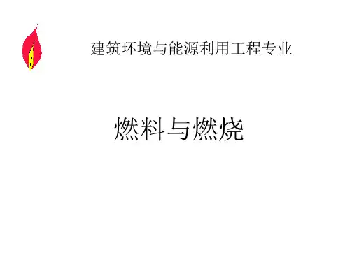 燃料与燃烧(第一篇)