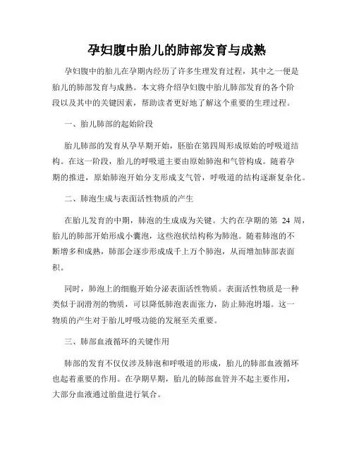 孕妇腹中胎儿的肺部发育与成熟