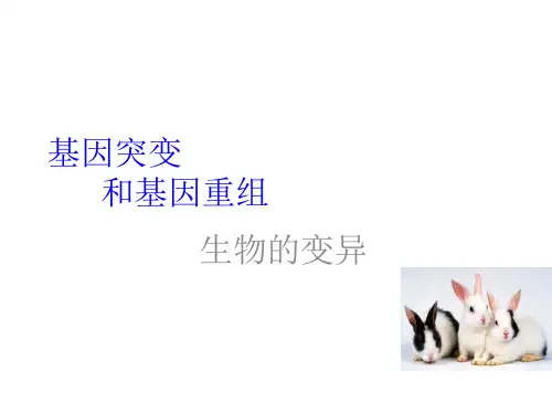 高中生物必修二第五章 基因突变及其他变异(整章课件)