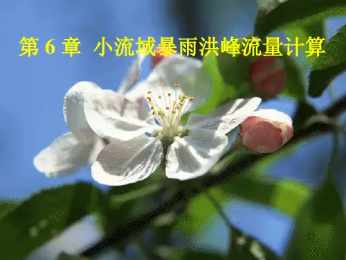 推算小流域面积设计洪水流量资料