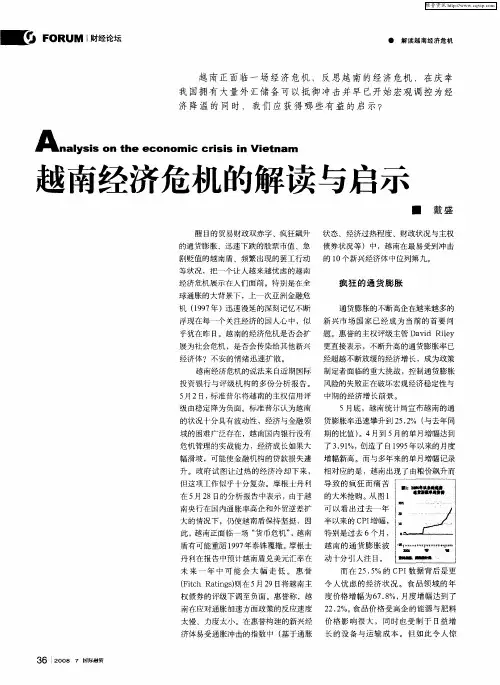 越南经济危机的解读与启示