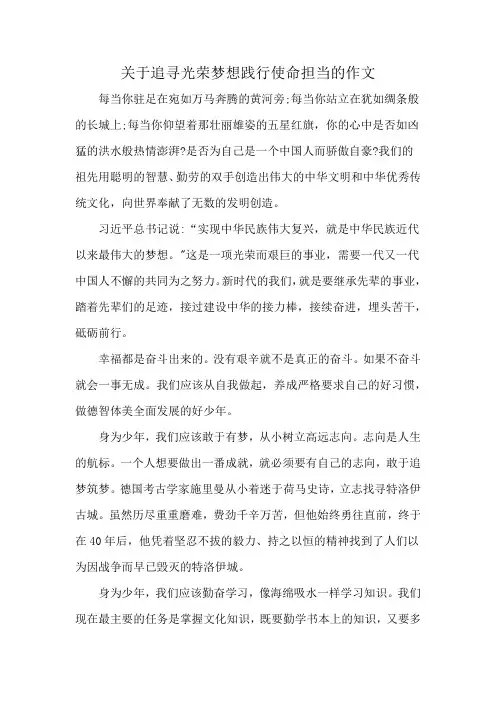 关于追寻光荣梦想践行使命担当的作文