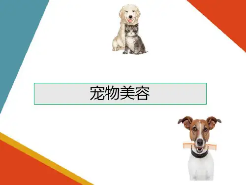 宠物美容基本技术—宠物美容保定方法