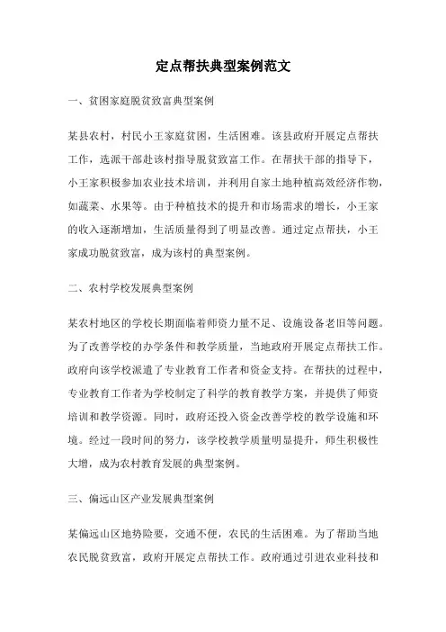 定点帮扶典型案例范文
