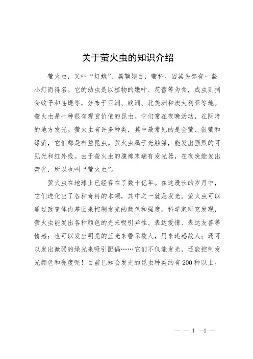 关于萤火虫的知识介绍