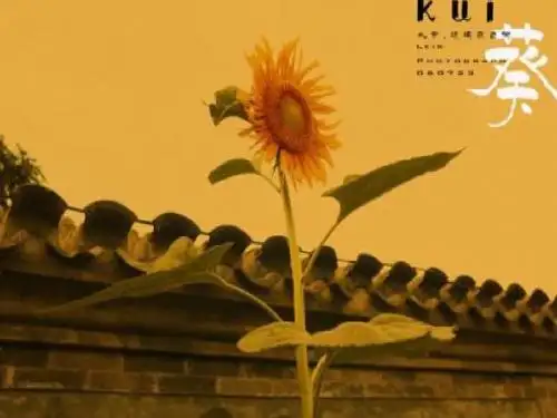 向日葵课件