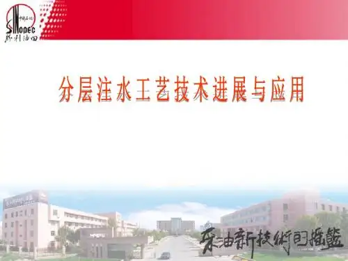 分层注水工艺技术进展与应用解析