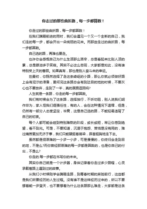 你走过的那些曲折路，每一步都算数！