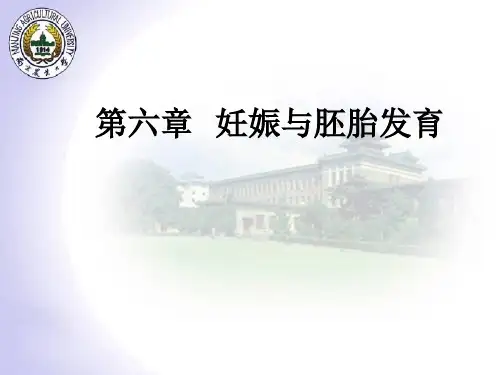第六章   妊娠与胚胎发育ppt课件