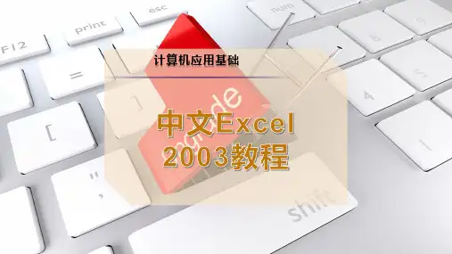 中文Excel 2003教程