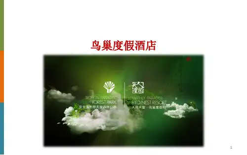 三亚亚龙湾鸟巢度假酒店项目策划案