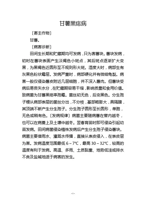 甘薯黑痣病