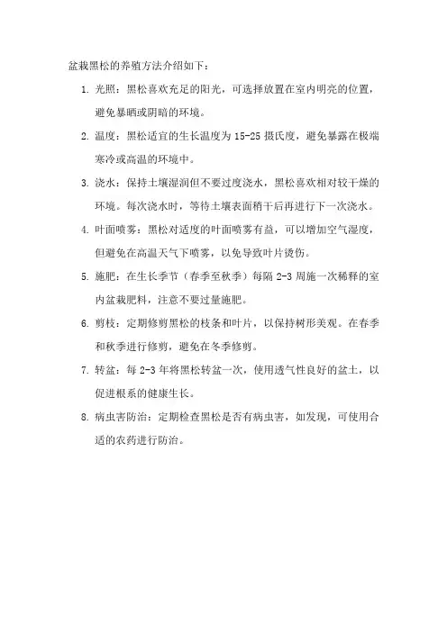盆栽黑松的养殖方法
