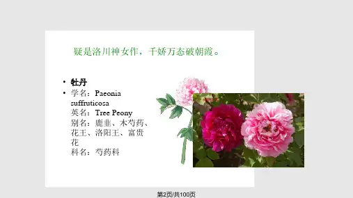 花的形态与功能全解