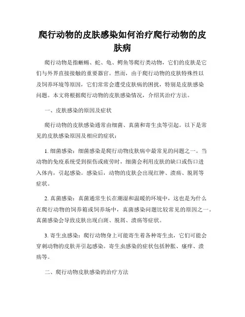 爬行动物的皮肤感染如何治疗爬行动物的皮肤病