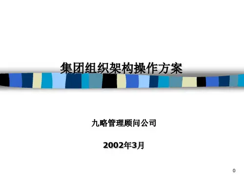 某集团组织架构设计和操作方案(ppt 49页)