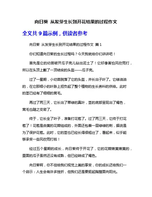 向日葵 从发芽生长到开花结果的过程作文