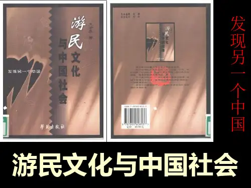 游民文化与中国社会
