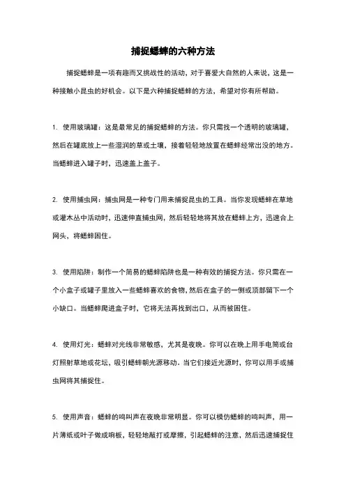 捕捉蟋蟀的六种方法