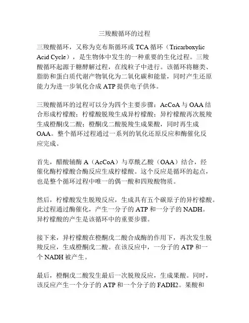三羧酸循环的过程