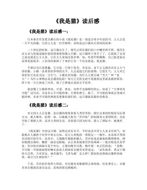 《我是猫》读后感