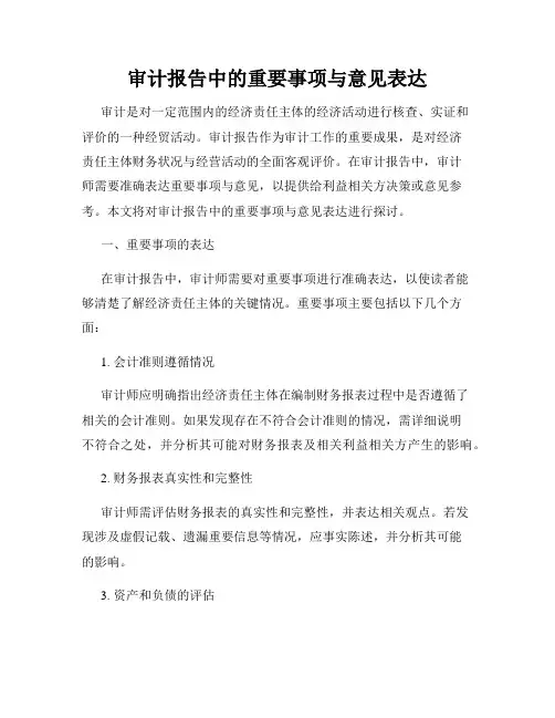 审计报告中的重要事项与意见表达