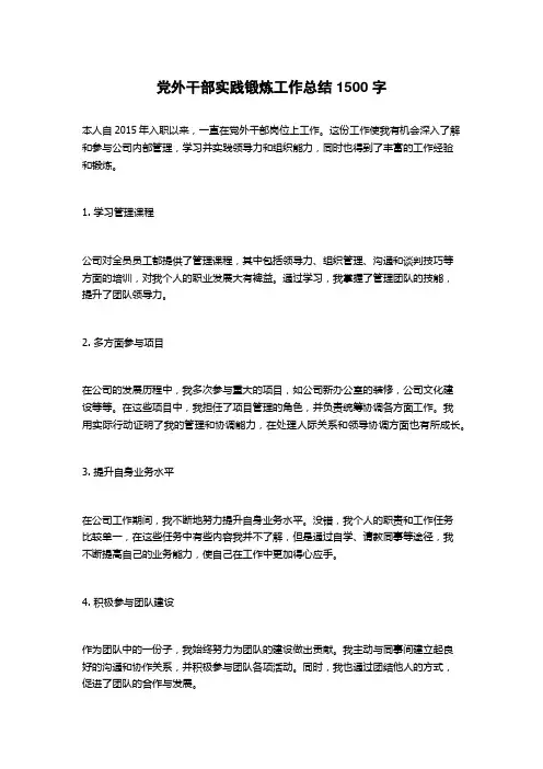党外干部实践锻炼工作总结