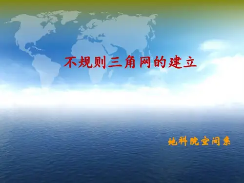 地理信息系统-TIN