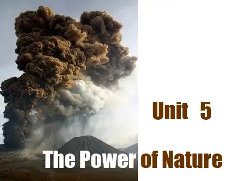 选修6Unit5 精品课件.ppt