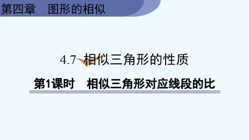 北师大版九年级上册数学《4-7 相似三角形的性质 第1课时 相似三角形对应线段的比》课件