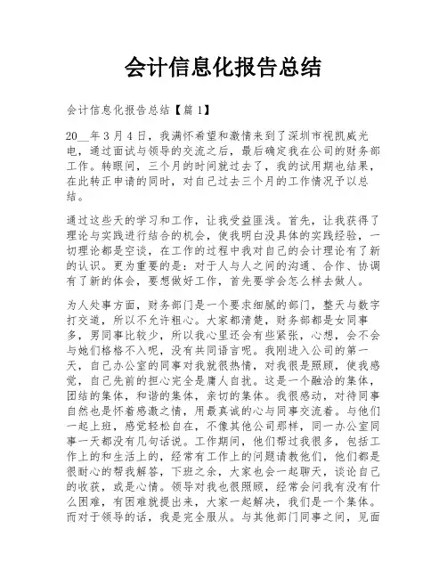 会计信息化报告总结