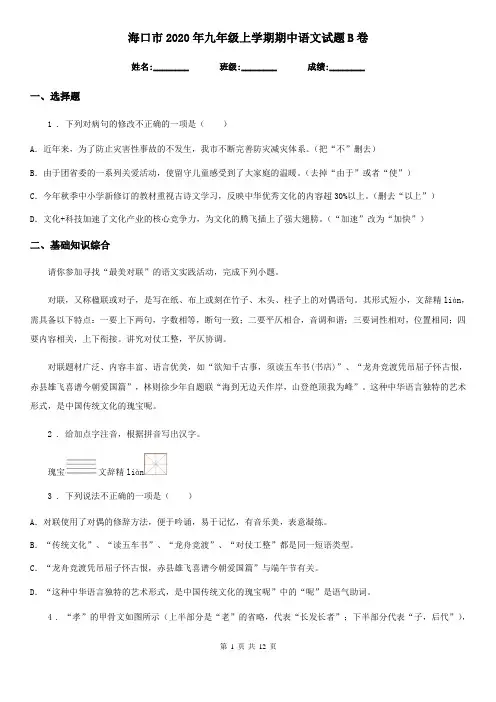 海口市2020年九年级上学期期中语文试题B卷