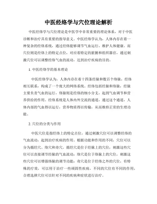 中医经络学与穴位理论解析