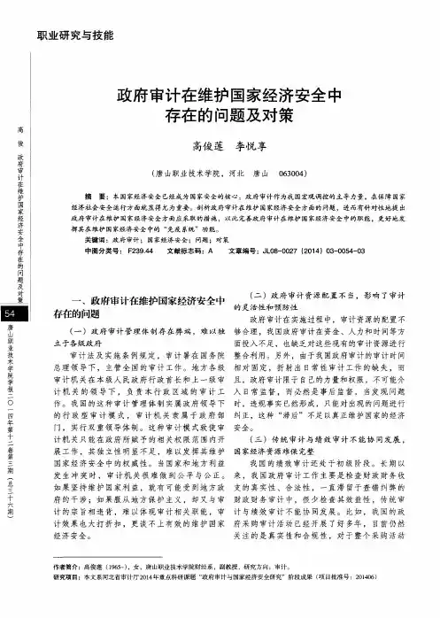 政府审计在维护国家经济安全中存在的问题及对策