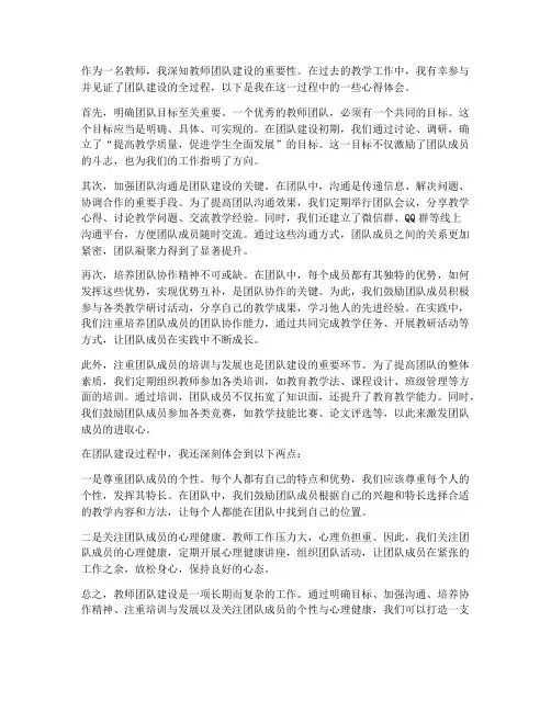 教师团队建设的心得体会